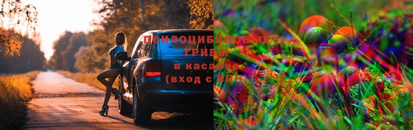 МДМА Алексеевка