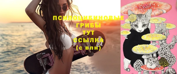 мяу мяу кристалл Алексин