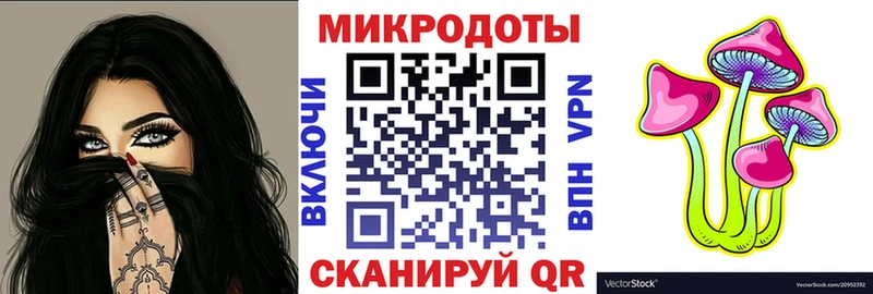 Псилоцибиновые грибы MAGIC MUSHROOMS  блэк спрут ссылка  Заволжье 
