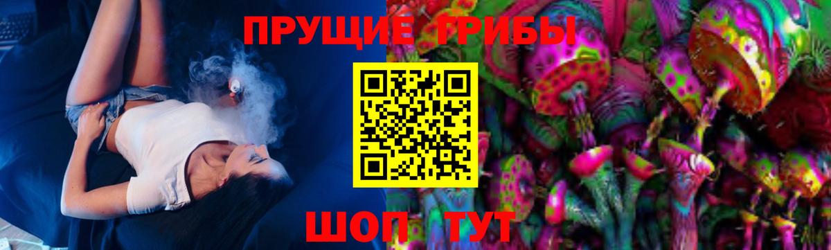 где продают   Псилоцибиновые грибы мицелий  Вход с VPN  Заволжье 
